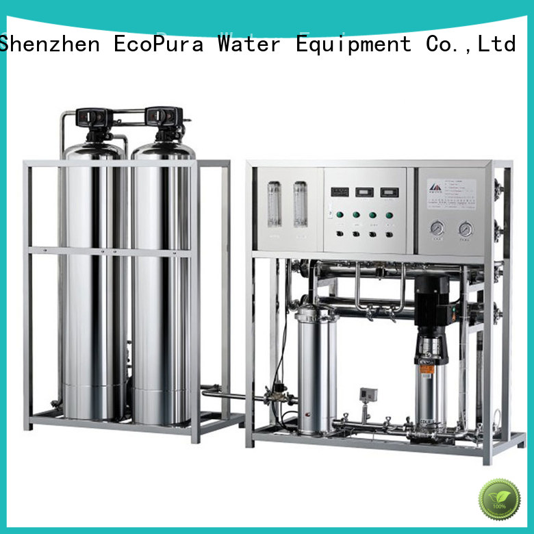 EcoPura 300l1000lh water processing machine exporter for water purification