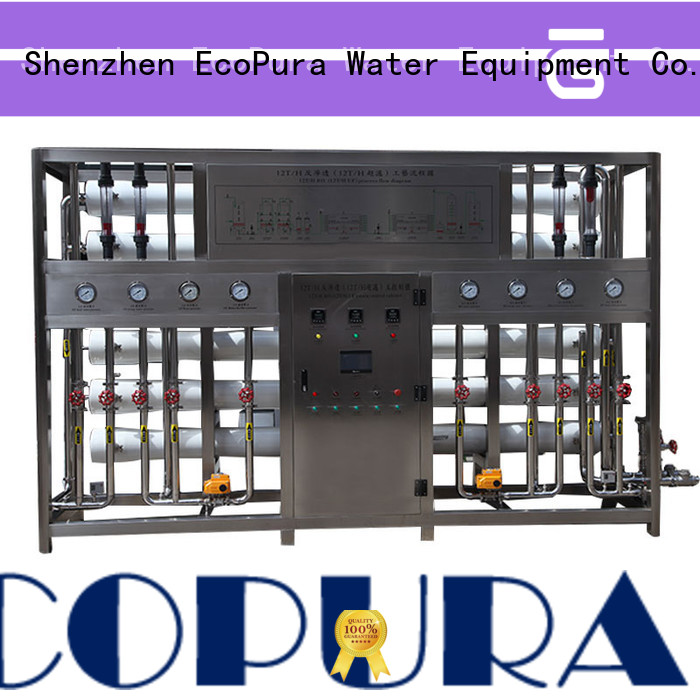 EcoPura purification water processing machine solution expert for water treatment
