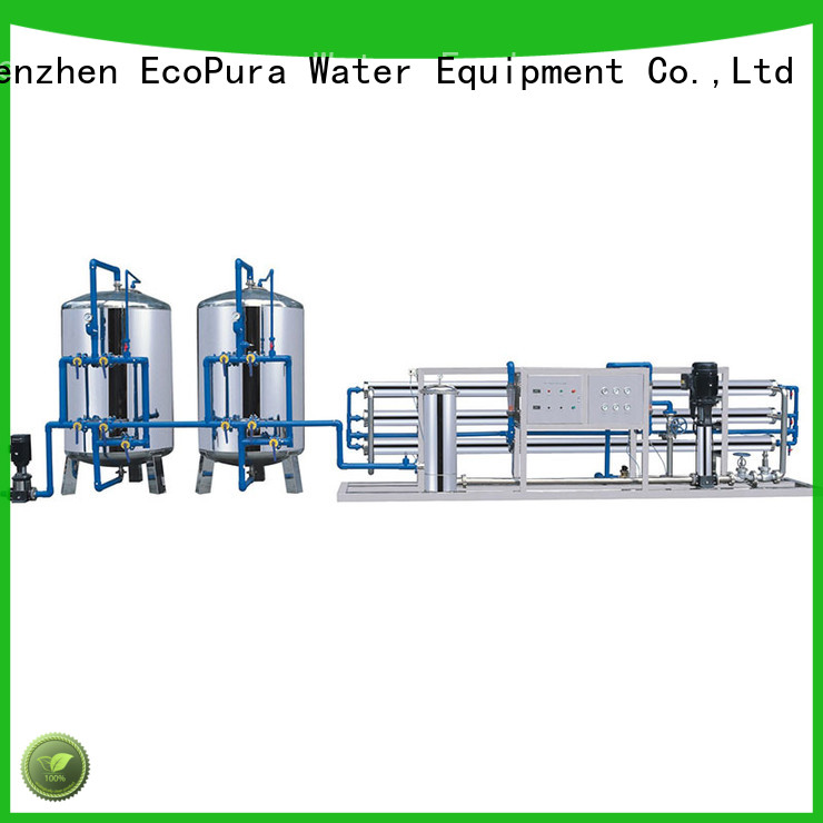 EcoPura 10000lh water processing machine solution expert for the global market