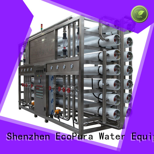 EcoPura 10m3h water process equipment solution expert for the global market
