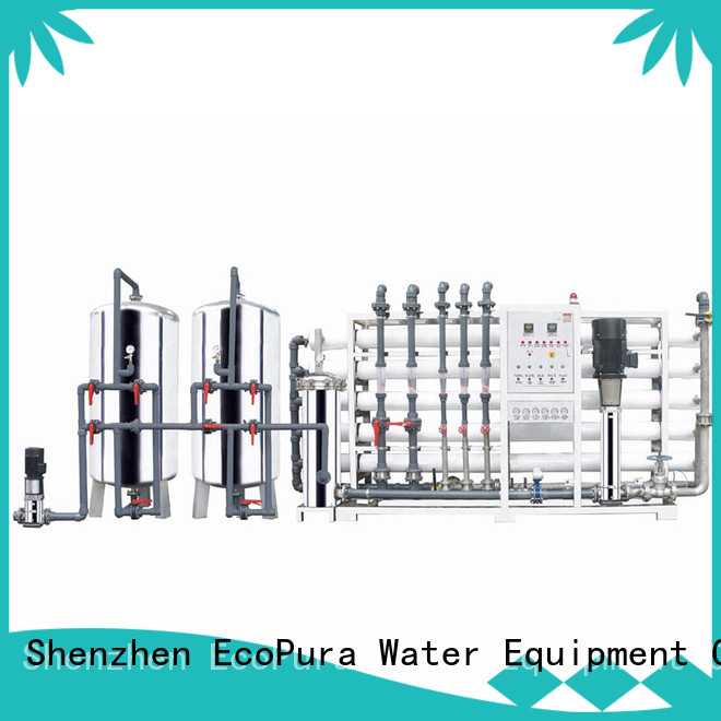 EcoPura 2000lh water treatment plant manufacturers solution expert for the global market