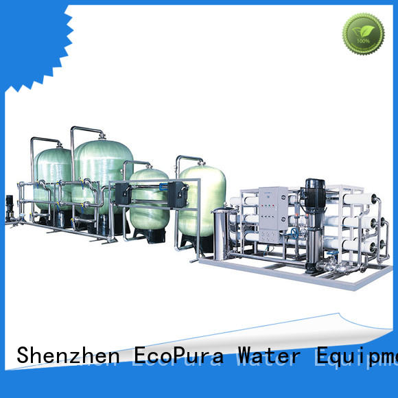 EcoPura 30000lh water treatment machine price solution expert for water purification