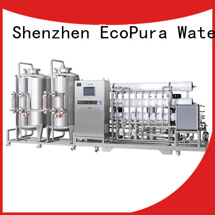 EcoPura 300l1000lh water process equipment solution expert for water treatment