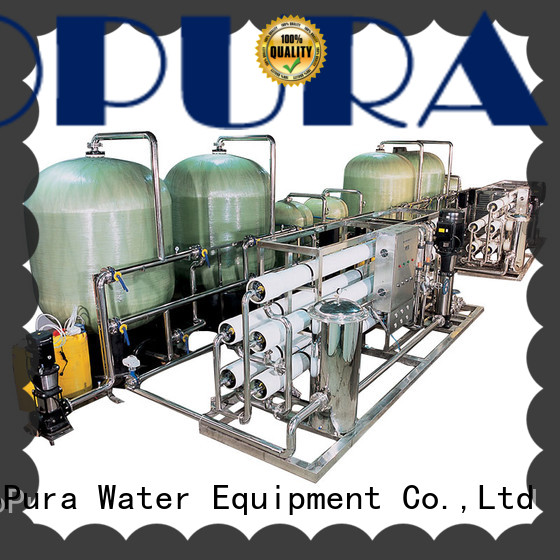 EcoPura 30000lh water treatment machine price solution expert for water treatment