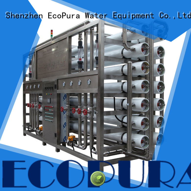 EcoPura 300l1000lh water treatment process solution expert for water purification