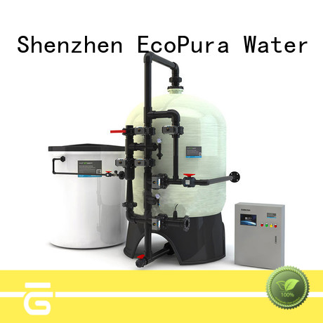 EcoPura 25000lh water treatment machine price solution expert for the global market