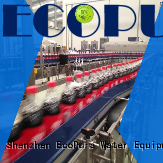 EcoPura low cost conveyor machine from China for trader
