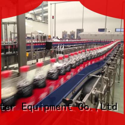 EcoPura standard conveyor overseas market for importer