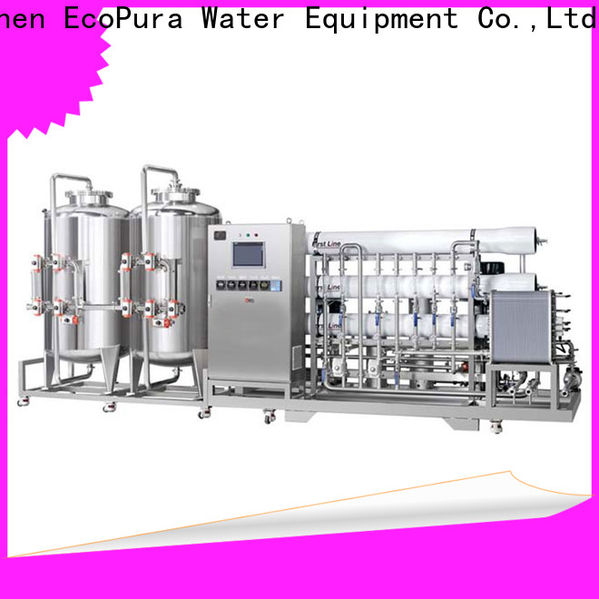 EcoPura purification water treatment equipment for sale solution expert for the global market