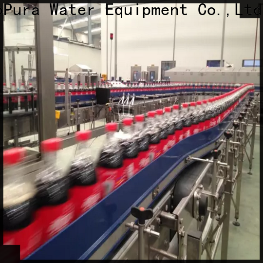EcoPura low cost conveyor machine from China for trader