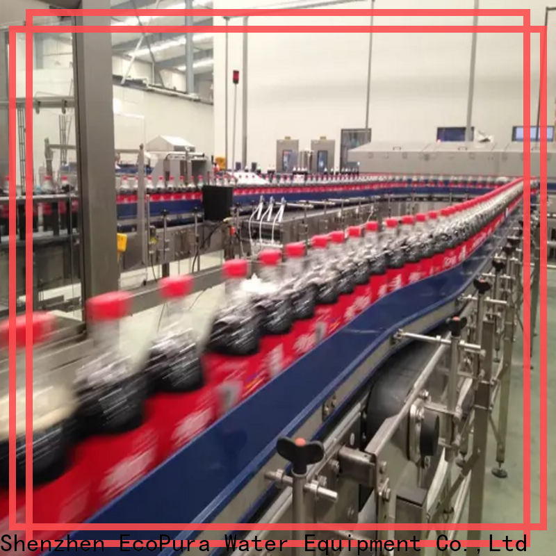 EcoPura affordable conveyor equipment trade partner for importer