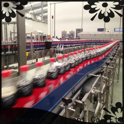 EcoPura conveyor conveyor machine from China for trader