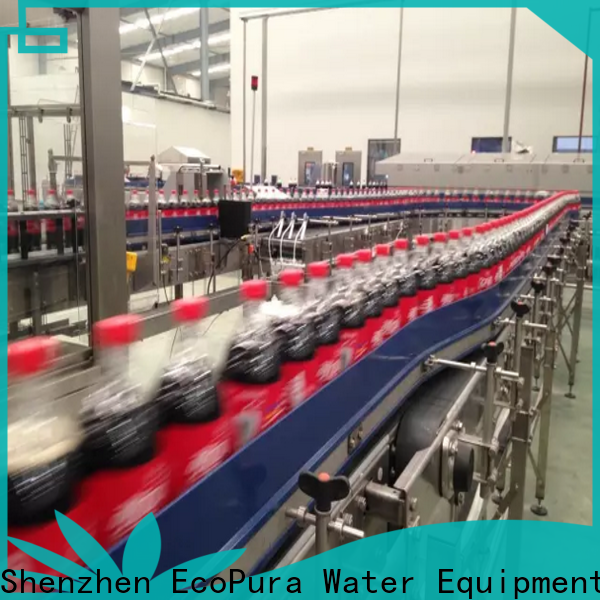 EcoPura low cost conveyor equipment trade partner for importer