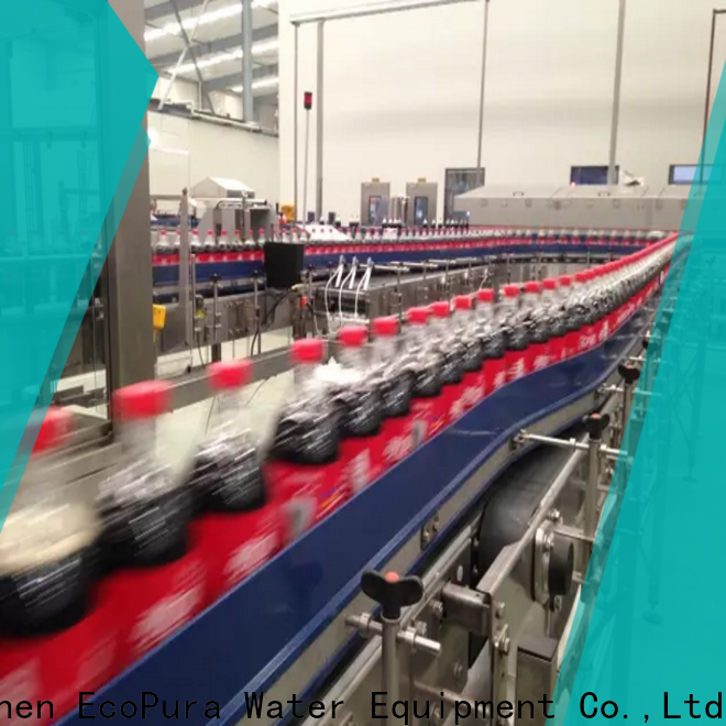 EcoPura standard conveyor equipment trade partner for importer
