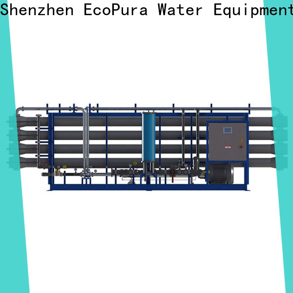 EcoPura plant water process equipment exporter for water purification