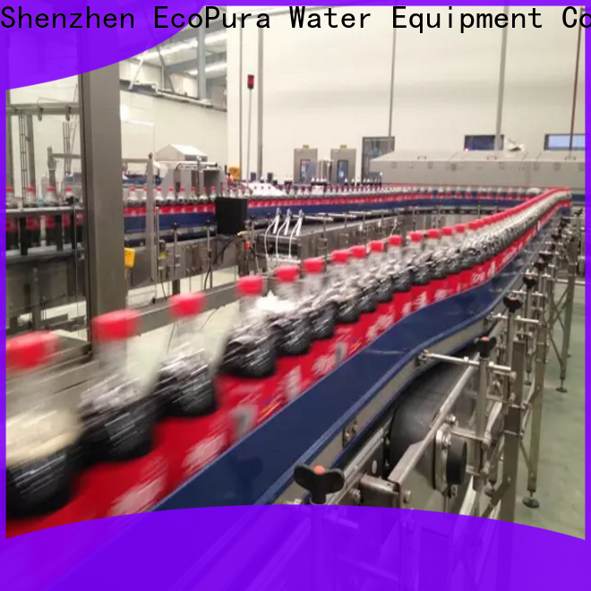 EcoPura conveyor conveyor equipment overseas market for trader