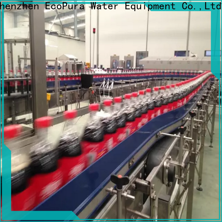 EcoPura standard conveyor equipment from China for importer