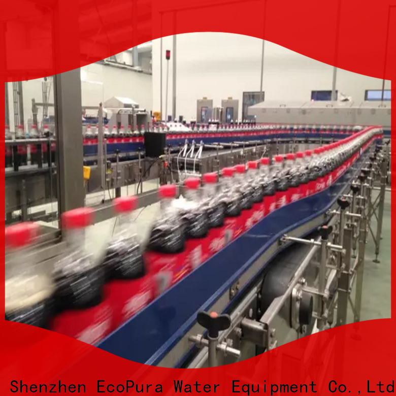 EcoPura affordable conveyor equipment from China for trader