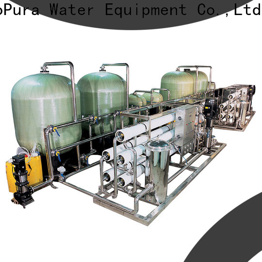 premium quality water treatment plant manufacturers 300l1000lh solution expert for water purification