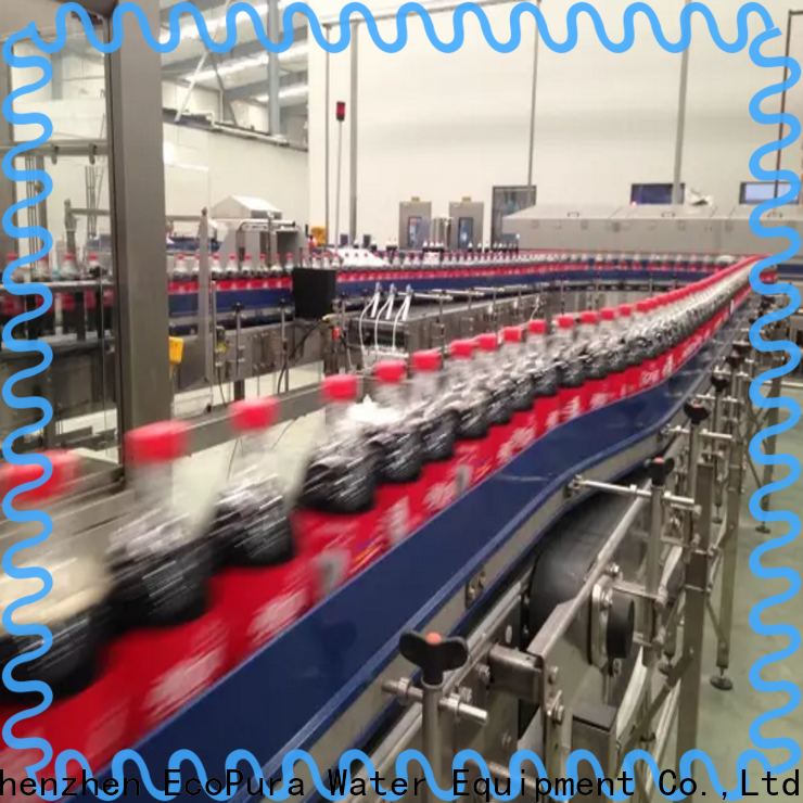 EcoPura affordable conveyor machine from China for trader