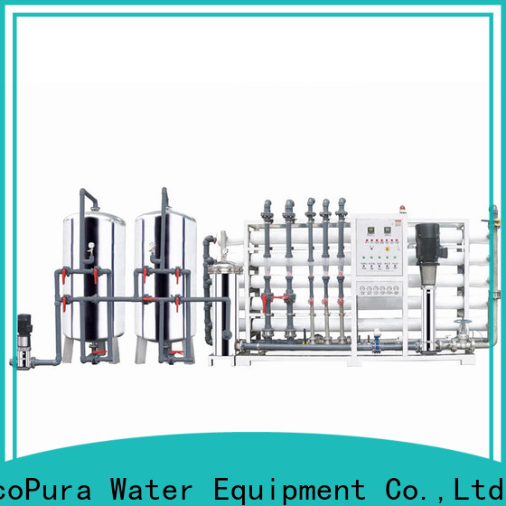 EcoPura 40m3h water treatment machine price solution expert for the global market