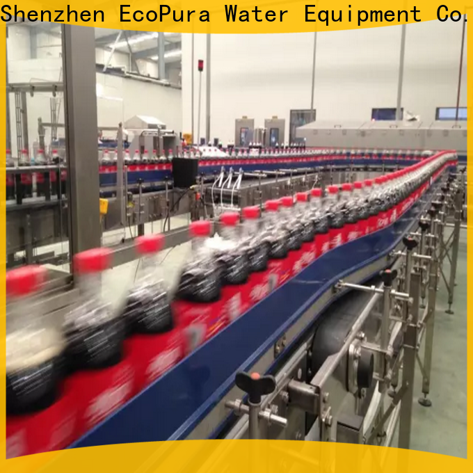 EcoPura standard conveyor overseas market for importer