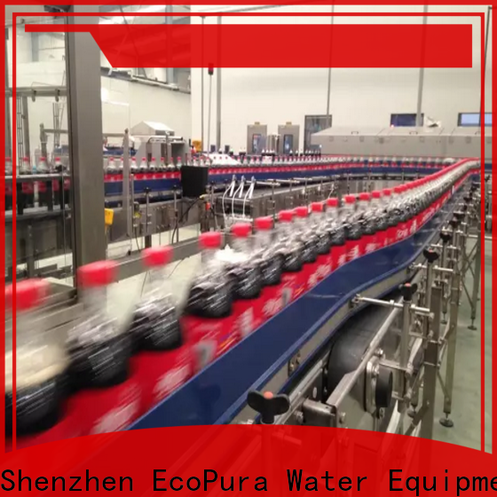 EcoPura conveyor conveyor overseas market for importer
