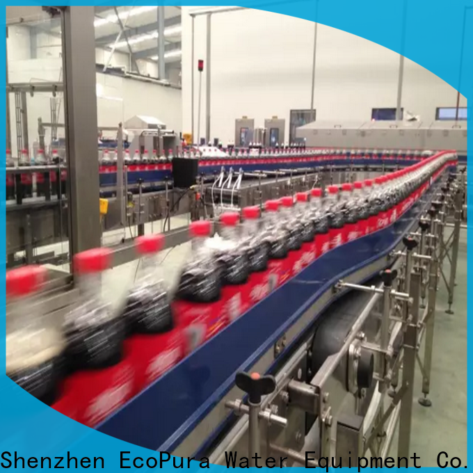 EcoPura conveyor conveyor from China for upgrade industries