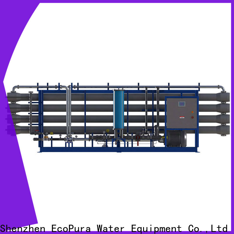 EcoPura 40000lh water treatment machine manufacturers solution expert for the global market