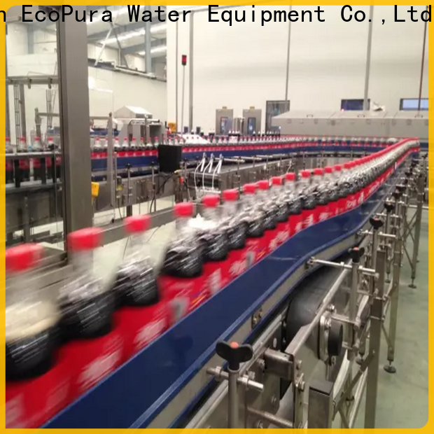 EcoPura affordable conveyor machine trade partner for importer