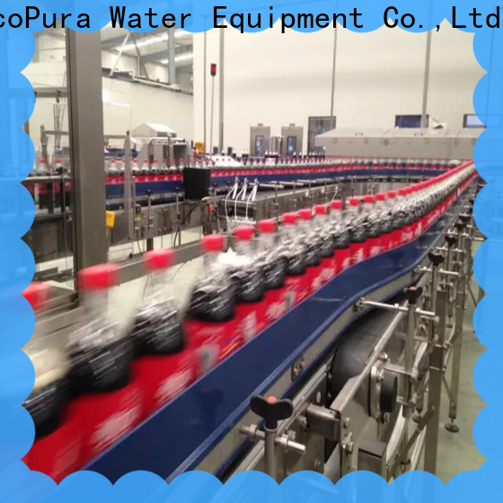 EcoPura conveyor conveyor machine trade partner for upgrade industries