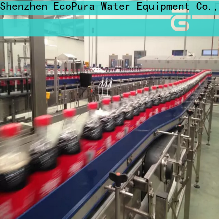 EcoPura affordable conveyor equipment trade partner for importer