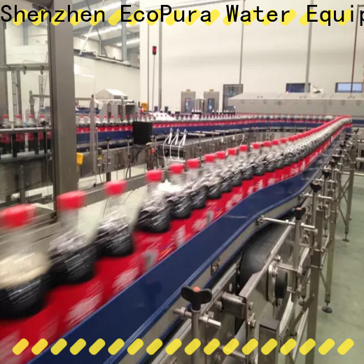 EcoPura conveyor conveyor machine overseas market for trader