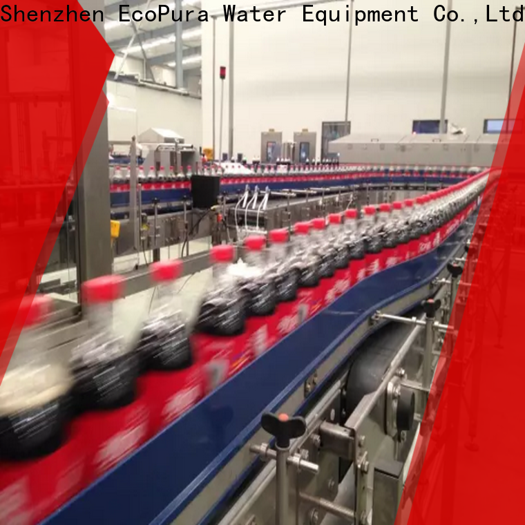 EcoPura machine conveyor equipment from China for trader