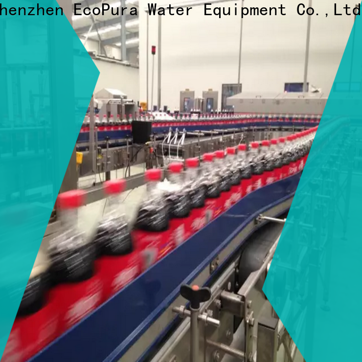 EcoPura machine conveyor equipment from China for upgrade industries