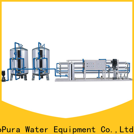 EcoPura 20m3h water treatment plant manufacturers solution expert for water purification