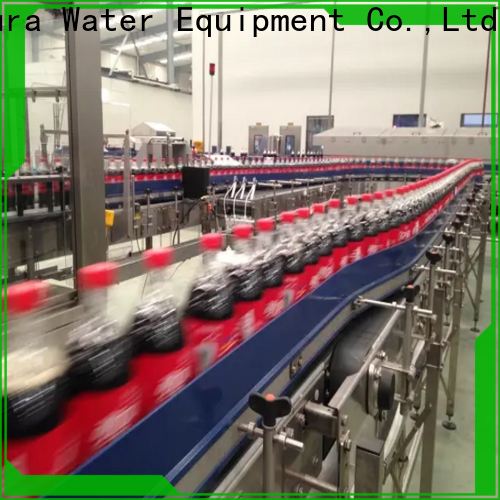 EcoPura low cost conveyor machine overseas market for trader