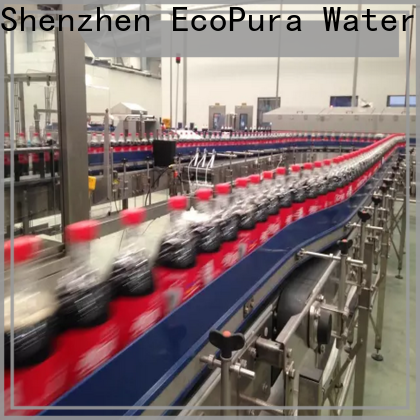 EcoPura conveyor conveyor overseas market for upgrade industries