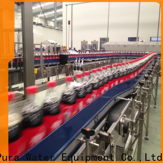 EcoPura standard conveyor overseas market for importer