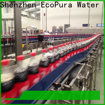 EcoPura affordable conveyor machine from China for trader