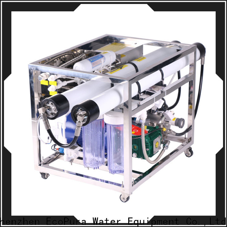EcoPura 40m3h water treatment solution expert for the global market