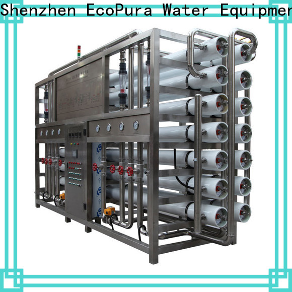 EcoPura plant water treatment machine solution expert for the global market