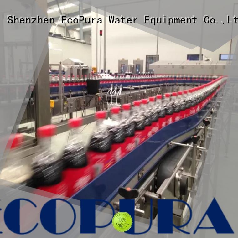 EcoPura low cost conveyor overseas market for importer