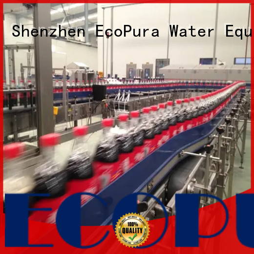 EcoPura conveyor conveyor overseas market for upgrade industries