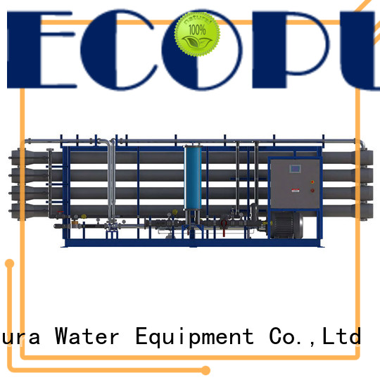 EcoPura 10000lh water treatment process exporter for water purification