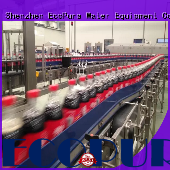 EcoPura affordable conveyor equipment from China for importer