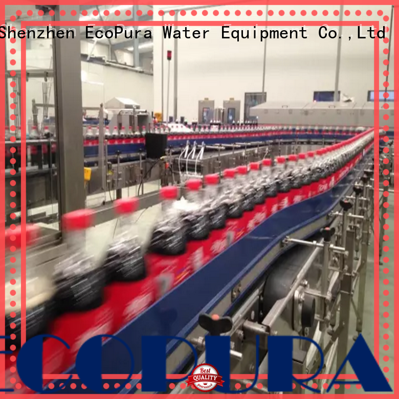 EcoPura standard conveyor machine overseas market for trader