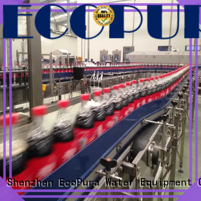 EcoPura affordable conveyor equipment trade partner for importer