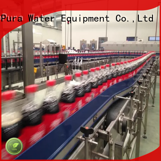EcoPura conveyor conveyor equipment from China for importer