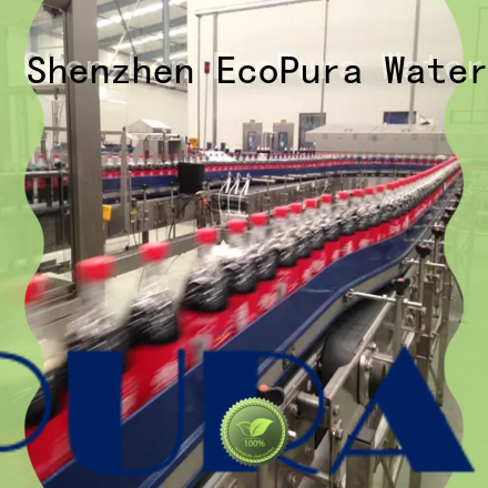 EcoPura low cost conveyor overseas market for trader